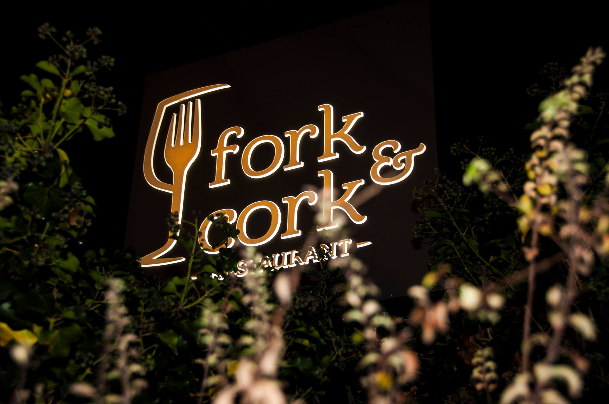 Thursday Live Dinner @ Fork & Cork