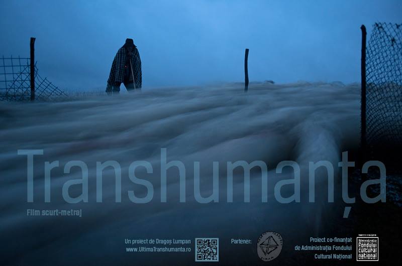 Transhumanța @ Muzeul Etnografic al Transilvaniei