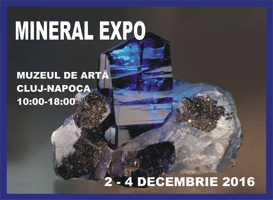 Mineral Expo @ Muzeul de Artă