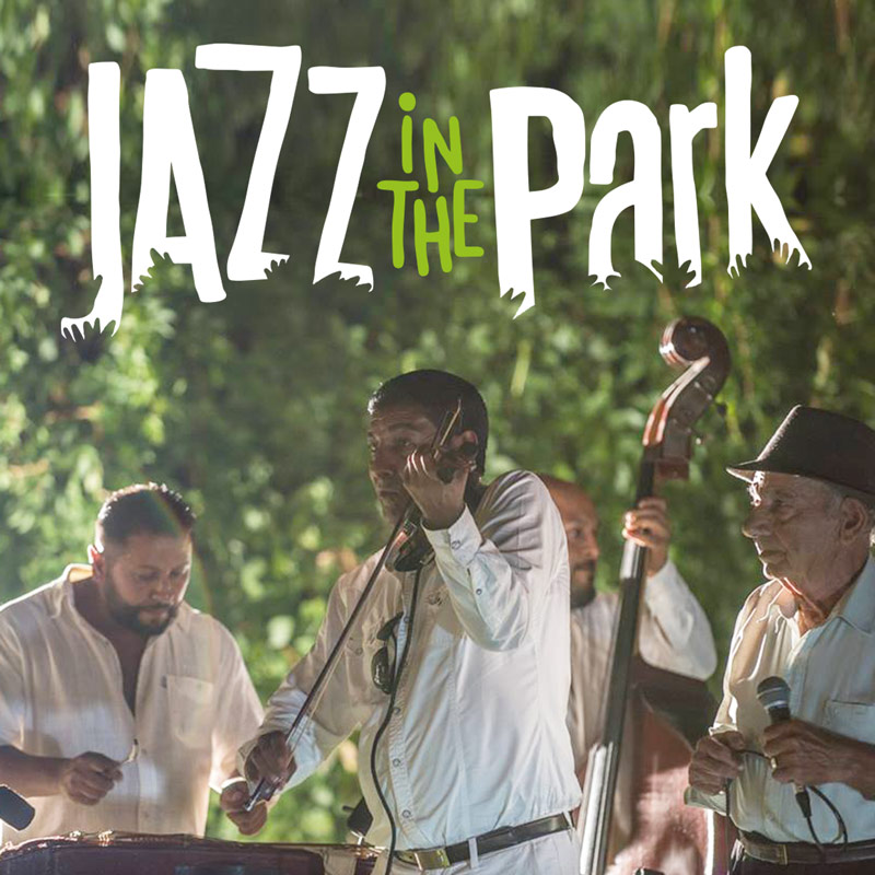 Jazz in the Park ajunge la Pata Rât cu o scenă lângă groapa de gunoi a Clujului