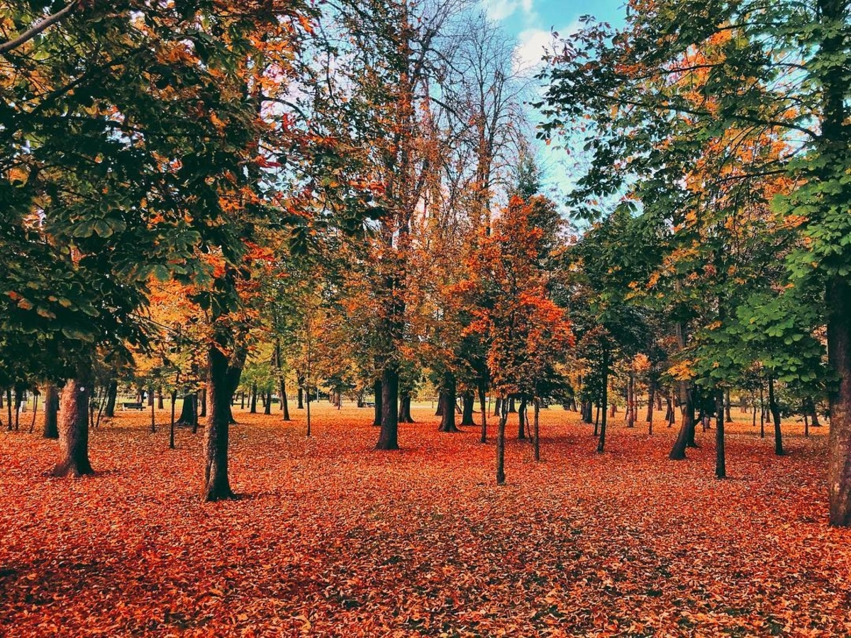 Cele mai frumoase poze din Cluj postate săptămâna trecută pe Instagram