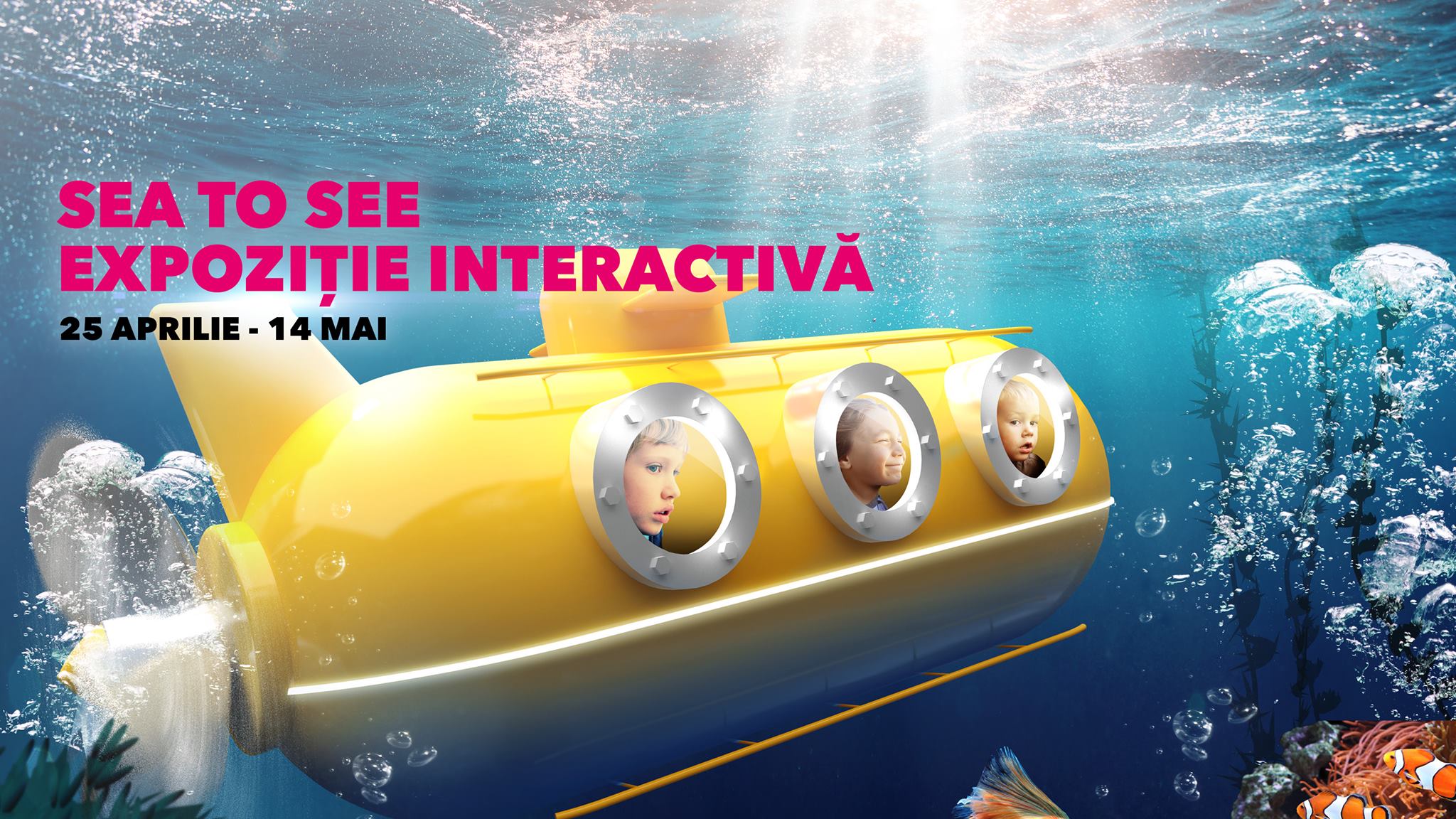 Sea to See - Expoziție interactivă