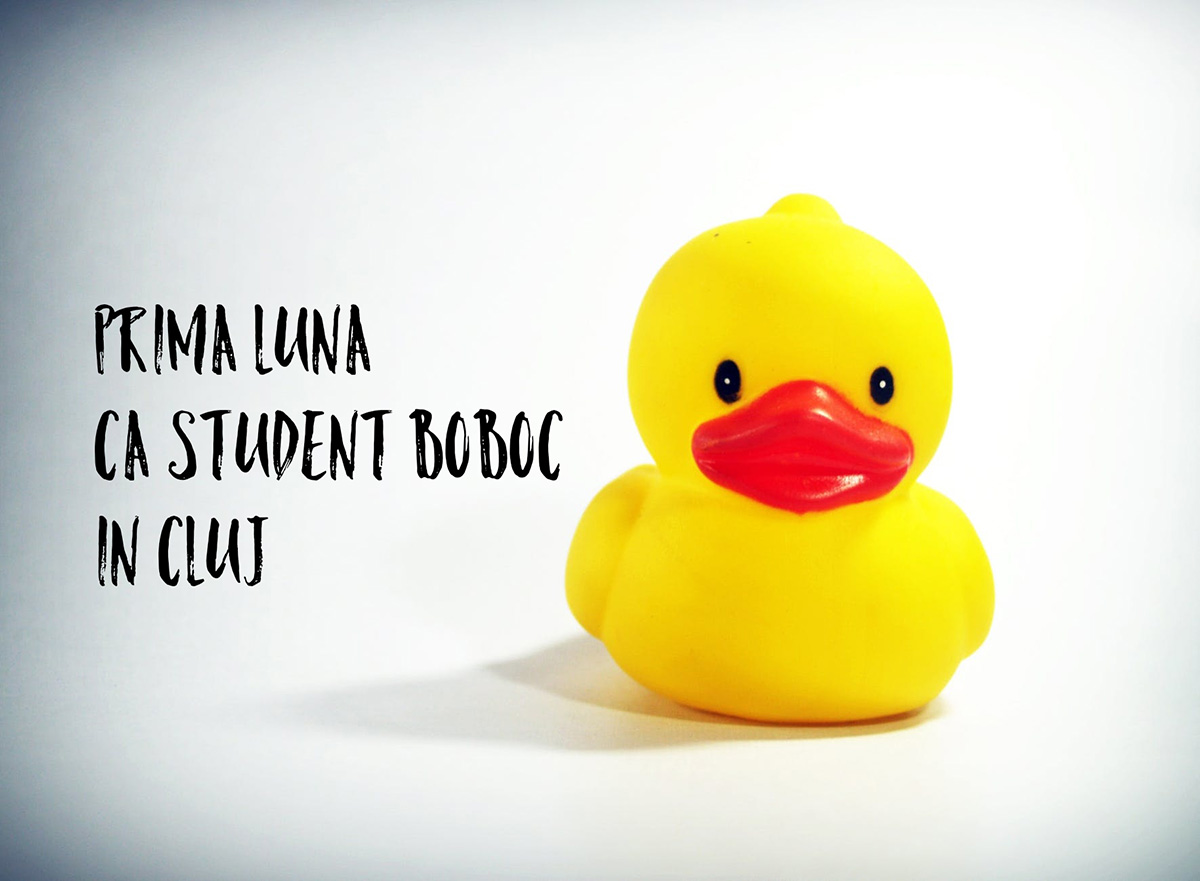 Ce să faci în prima lună ca student boboc în Cluj
