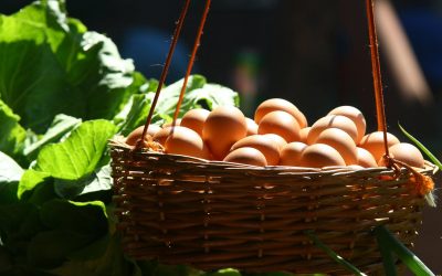 Producători locali de ouă din Cluj