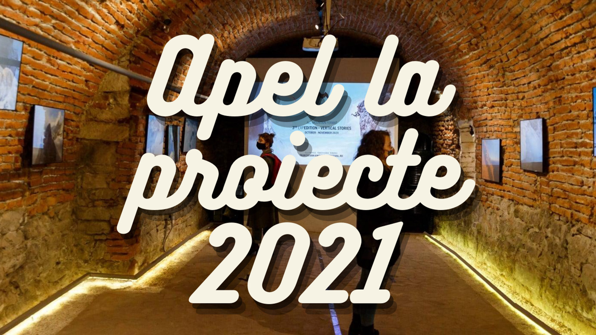Institutul Francez Cluj invită artiștii să propună proiecte pentru agenda 2021 a spațiului “La Cave”