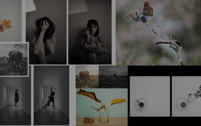 Cele mai bune poze de la Online Photo Challenge II, provocarea foto online de acasă