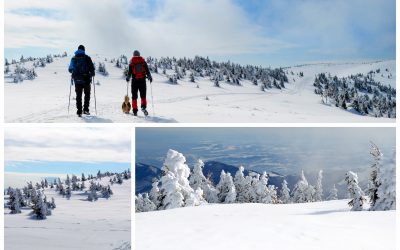 Drumeție de iarnă aproape de Cluj: Vârful Vlădeasa